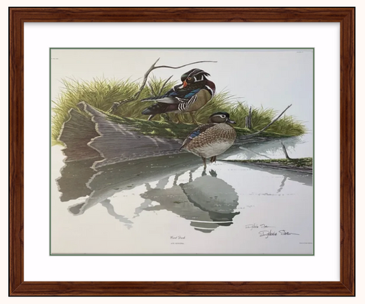 Vintage Print Book Page 22 - Framed