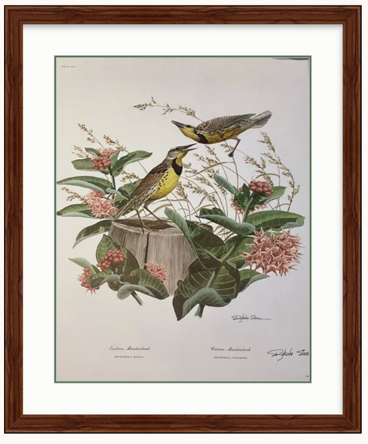 Vintage Print Book Page 7 - Framed