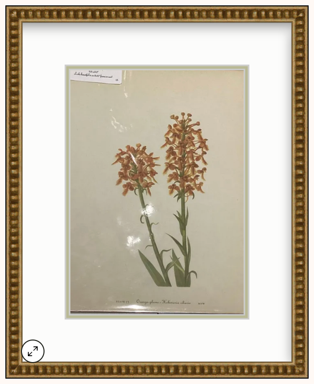 Framed Flower Art
