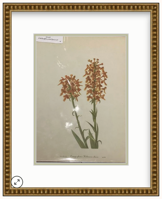Framed Flower Art