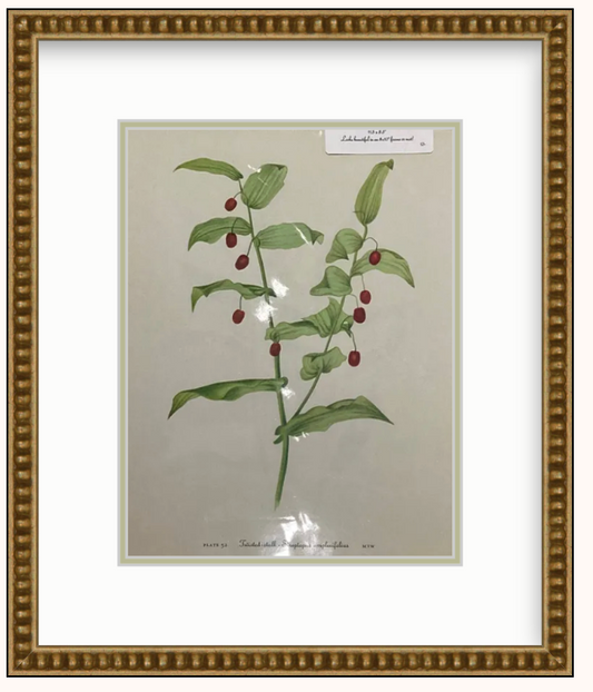 Flower Art Framed