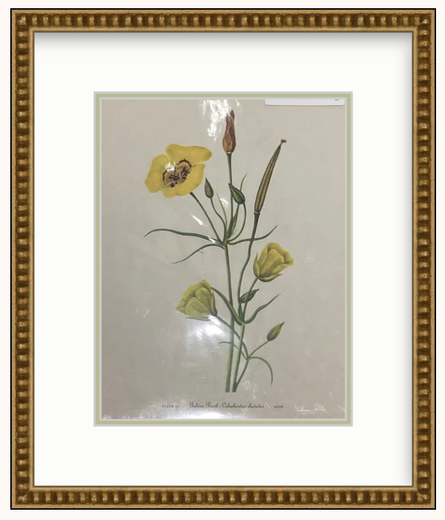 Flower Art Framed