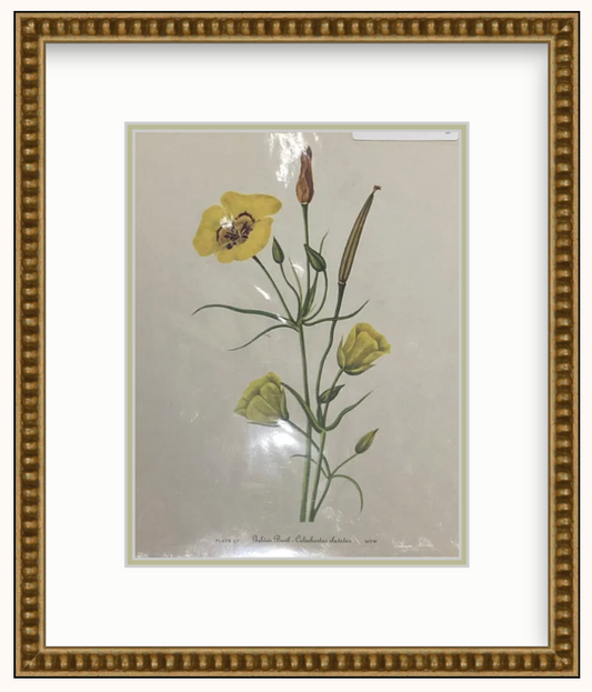 Flower Art Framed