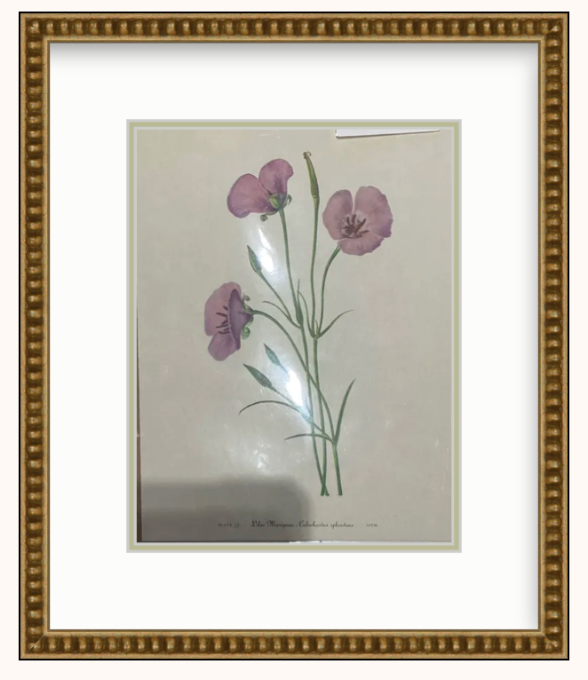 Flower Art Framed