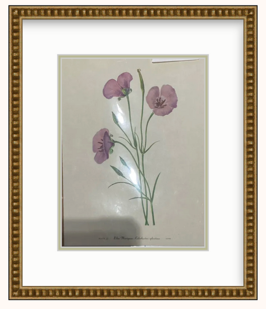 Flower Art Framed